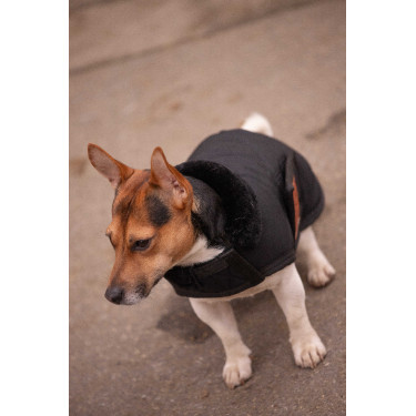 Couverture pour chien Diagonal Paddock Sports Couverture pour chien Diagonal Paddock Sports