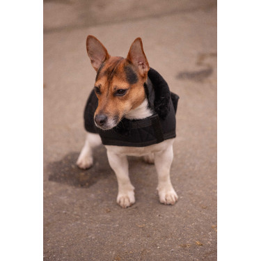 Couverture pour chien Diagonal Paddock Sports Couverture pour chien Diagonal Paddock Sports