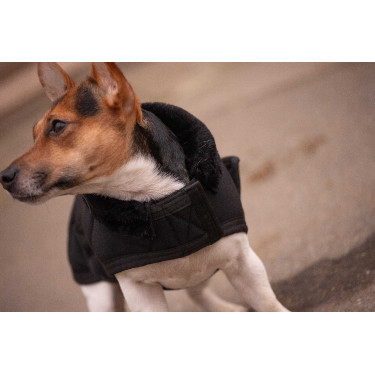 Couverture pour chien Diagonal Paddock Sports Couverture pour chien Diagonal Paddock Sports