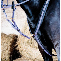 Collier de chasse Biotack T de T Vert tilleul