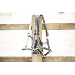 Licol Lami-Cell Elegance Marine / champagne Bleu