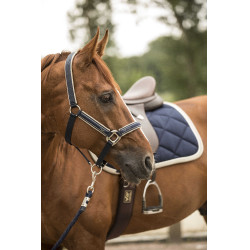 Licol Lami-Cell Elegance Marine / champagne Bleu