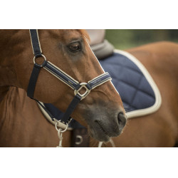 Licol Lami-Cell Elegance Marine / champagne Bleu