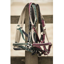 Licol Lami-Cell Elegance Marine / champagne Bleu