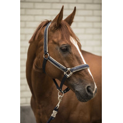 Licol Lami-Cell Elegance Marine / champagne Bleu