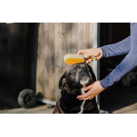 Etrille avec manche Hippotonic Vapeur Taupe Marron