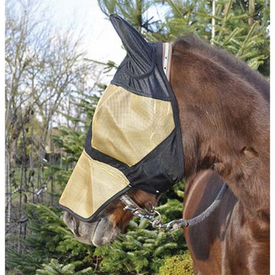 Bonnet de pré intégral T de T Noir / doré