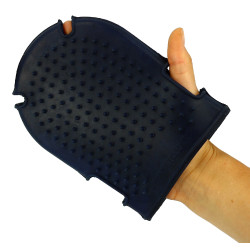 Gant étrille + brosse Gant étrille + brosse
