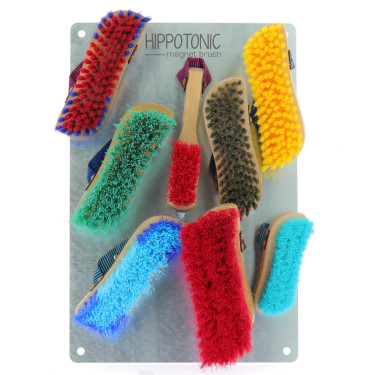 Plaque Hippo-Tonic Magnet Brush Plaque Hippo-Tonic Magnet Brush
