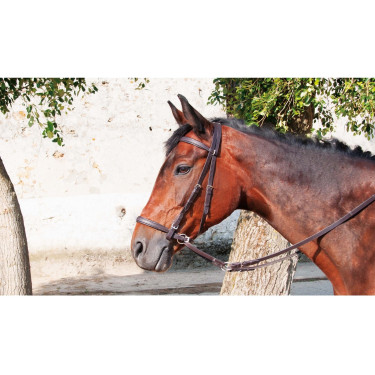 Bridon Bitless T de T Havane foncé Marron