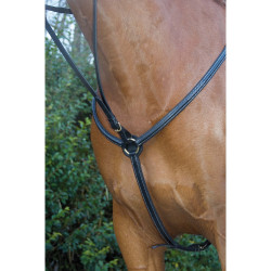 Collier de chasse doublé surpiqûres T de T Noir