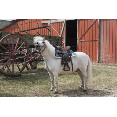 Selle Western Westride Topeka Selle Western Westride Topeka