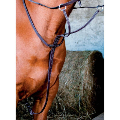 Martingale T de T Havane foncé