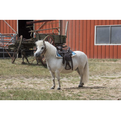 Tapis navajo matelassé Turquoise Bleu Tapis navajo matelassé Turquoise Bleu