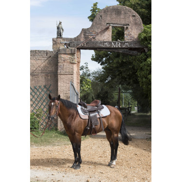 Horse pad Westride feutre 16 mm Horse pad Westride feutre 16 mm