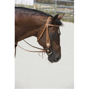 Bridon Westride by Franck Perret Aurora Bridon Westride by Franck Perret Aurora