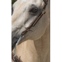 Bridon Westride by Franck Perret 1 oreille Noisette Marron Bridon Westride by Franck Perret 1 oreille Noisette Marron