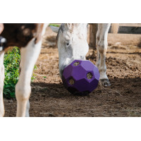 Balle anti-glouton Hippotonic pour foin multiple trou Violet Balle anti-glouton Hippotonic pour foin multiple trou Violet