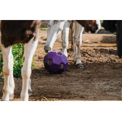 Balle anti-glouton Hippotonic pour foin multiple trou Violet