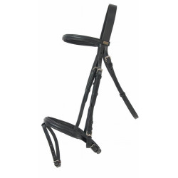 Bridon Sisley T deT muserolle combinée T de T Noir