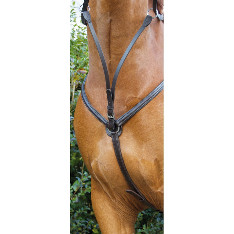 Collier de chasse doublé T de T Collier de chasse doublé T de T