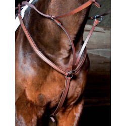 Collier de chasse doublé T de T Tabac Marron