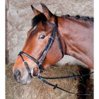 Bridon cuir Bellini T de T Noir