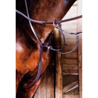 Martingale cuir T de T Havane foncé Marron Martingale cuir T de T Havane foncé Marron