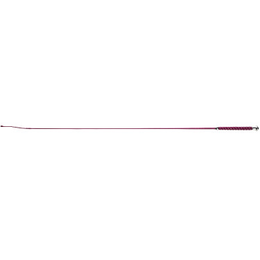 Cravache de dressage Whip & Go Points Cravache de dressage Whip & Go Points