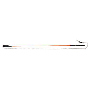 Stick éthologique Whip & Go Stick éthologique Whip & Go