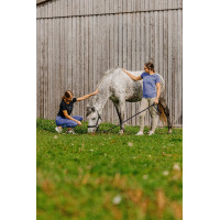T-shirt Je t'aime Equithème Rosalie Noir T-shirt Je t'aime Equithème Rosalie Noir