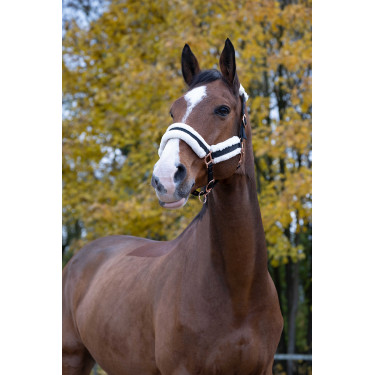 Licol Norton Confort Licol Norton Confort