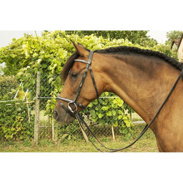 Bridon clincher blanc Goya T de T Bridon clincher blanc Goya T de T