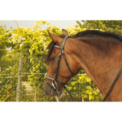 Bridon clincher blanc Goya T de T Noir Bridon clincher blanc Goya T de T Noir