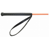 Cravache Club T de T