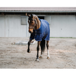 Chemise Equithème Classic 3D mesh Bleu marine