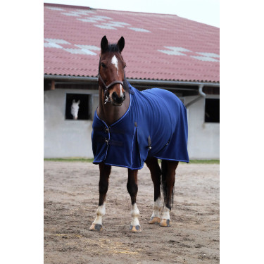 Chemise polaire Equithème Classic Chemise polaire Equithème Classic