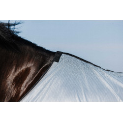 Chemise Riding World Belly Mesh Gris Chemise Riding World Belly Mesh Gris