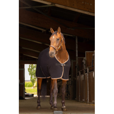 Chemise polaire Equithème Polyfun Chemise polaire Equithème Polyfun