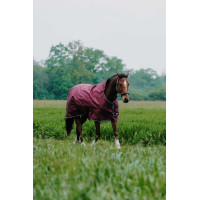 Couverture Equithème TYREX 1200D High Neck Bordeaux Couverture Equithème TYREX 1200D High Neck Bordeaux