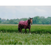 Couverture Equithème TYREX 1200D High Neck Bordeaux Couverture Equithème TYREX 1200D High Neck Bordeaux