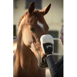 Gant de pansage Pénélope Noir Gant de pansage Pénélope Noir