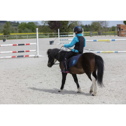Dorsale Equithème Mesh Noir Dorsale Equithème Mesh Noir