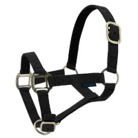 Licol nylon doublé cuir Norton Noir Licol nylon doublé cuir Norton Noir