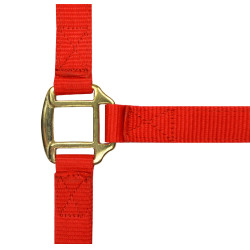 Licol nylon doublé cuir Norton