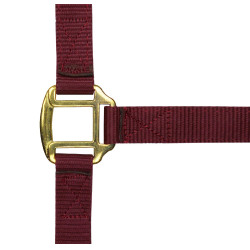 Licol nylon doublé cuir Norton