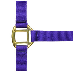 Licol nylon doublé cuir Norton