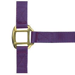 Licol nylon doublé cuir Norton Violet