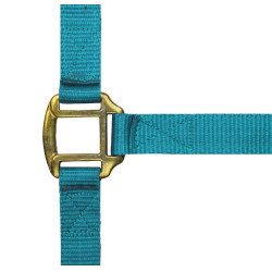Licol nylon doublé cuir Norton Turquoise Bleu
