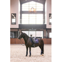 Bandes de polo Imperial Riding Cosmic Sparkle Marine Bleu marine